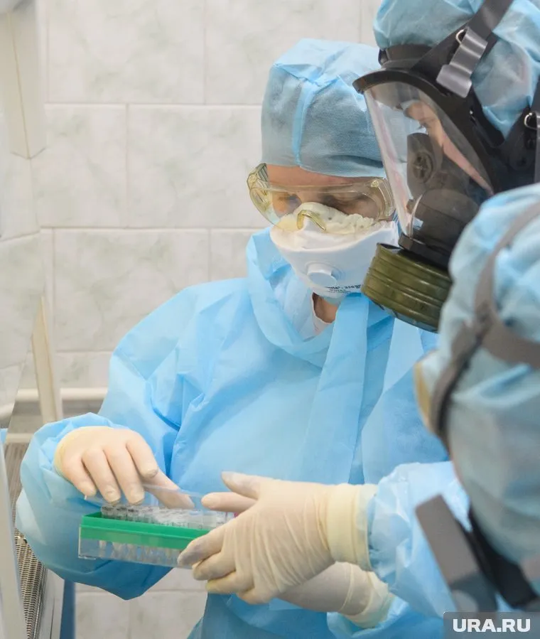 Персонал кафе сдал анализы на выявление вирусного гепатита