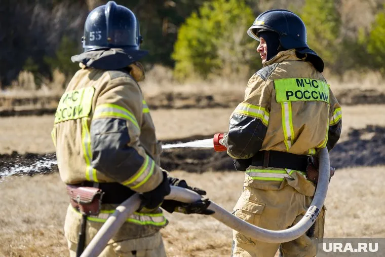 В Красноармейском лесничестве выгорела площадь 15,9 га из-за сварочных работ