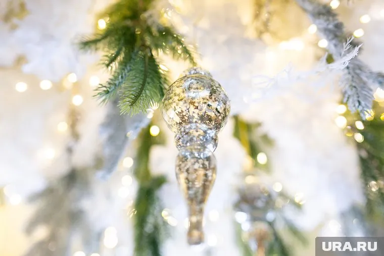 В новогодние праздники ударят резкие морозы, однако к концу недели ожидается потепление