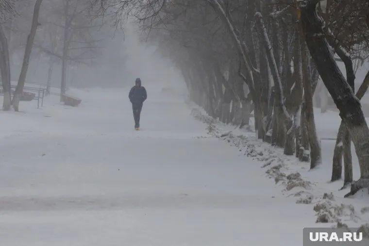 В течение недели в регионе ожидаются снегопады и метели