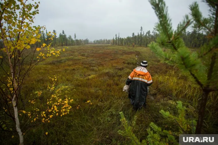 Александр Мураховский заблудился в лесу
