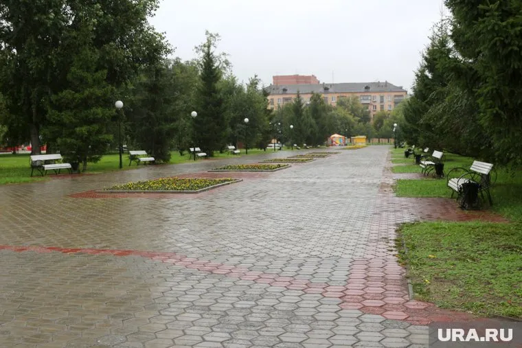 По словам обратившегося, из-за собак без поводков, курганцы не могут утром отдыхать в горсаде