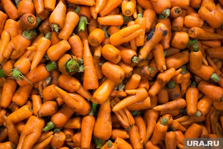 Бета-каротин в Магадане нынче дорог