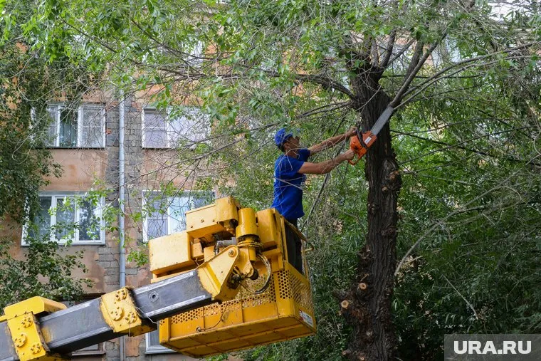 Курганцы помогают региону в рамках партнерского соглашения