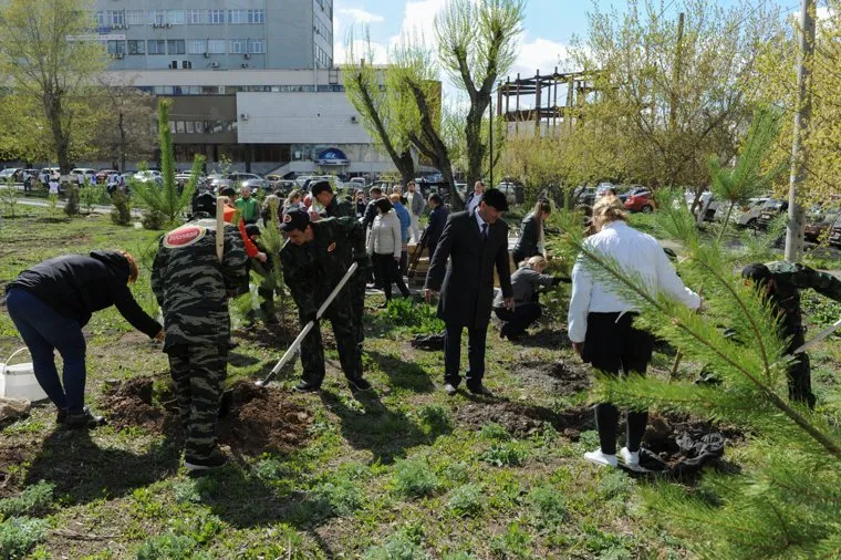 Высадка деревьев в Литературном сквере, возле Челябинской областной публичной библиотеки. Челябинск, высадка деревьев