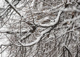 Последние выходные принесут пермякам тепло
