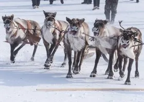 Фотография из галереи