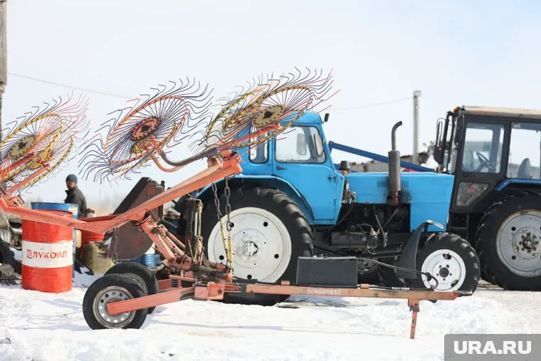 Курганская область заняла 8-е место в рейтинге Министерства сельского хозяйства РФ