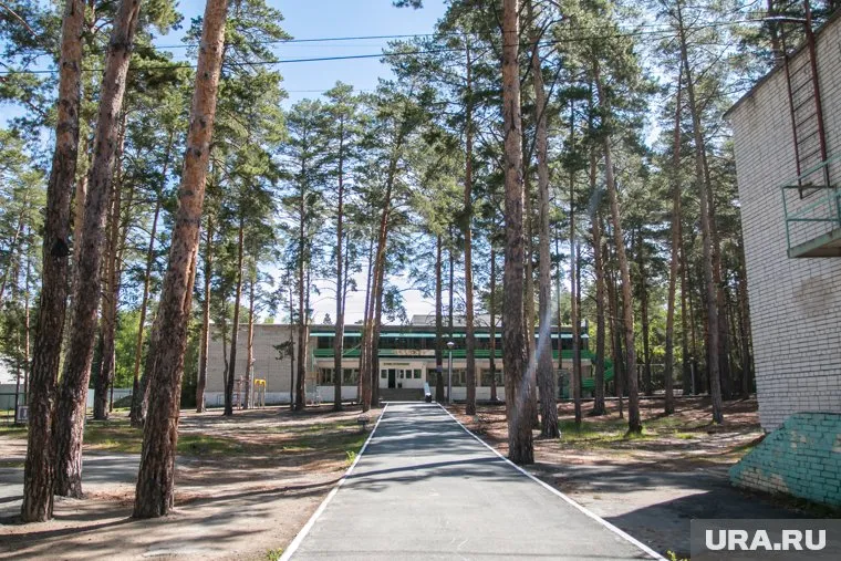 Родителям школьников предлагают бесплатные путевки