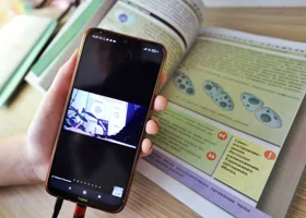 На дистант в Курганской области отправили больше классов на фоне снижения ОРВИ