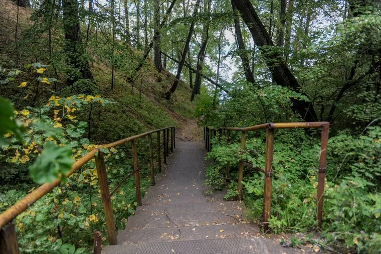 Экология Миасса и окрестностей. Челябинск