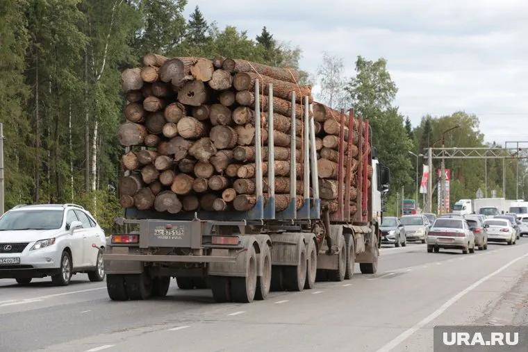 Завод приглашает на работу водителей лесовозов с зарплатой до 200 тысяч рублей
