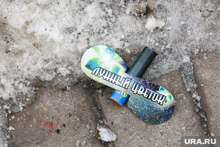 Кот получил серьезные травмы задней части туловища, предположительно, от взрыва петарды