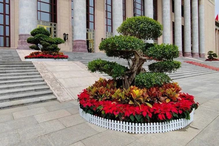 Подготовка к встрече Путина и Си Цзиньпина. Китай