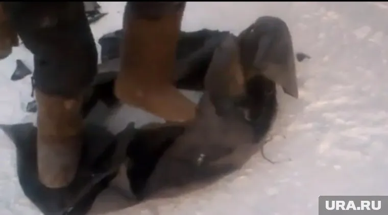 Автор видео наступает на шину, и она ломается