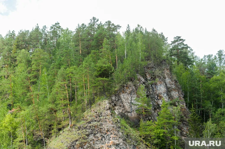 Мужчина ушел за ягодами и не вернулся