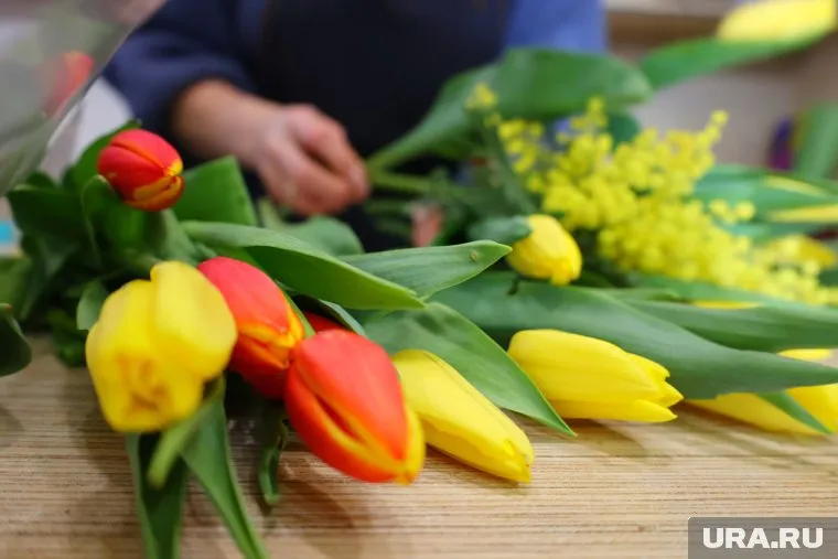 Курганцам выгоднее закупать российские тюльпаны, чем голландские