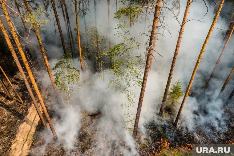 Жители Талицы, Пышмы и Камышлова жалуются, что из-за дыма на улице трудно дышать
