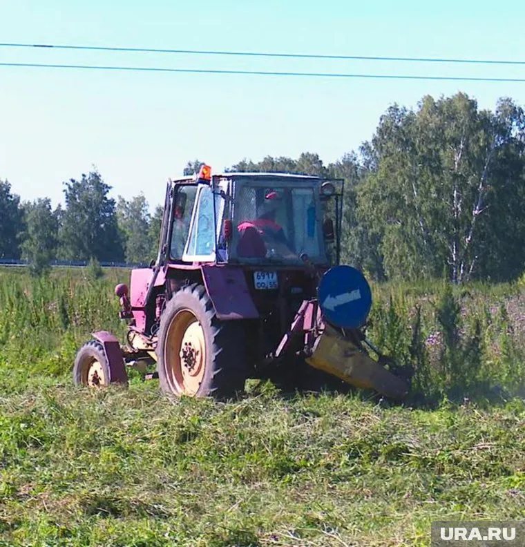 Несмотря на веселую розовую расцветку трактора, водитель отнесся к уничтожению запрещенного растения весьма серьезно