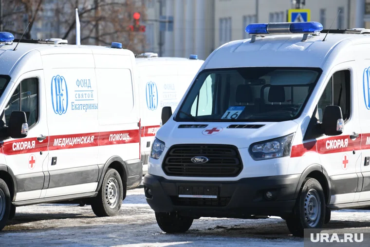 К проекту присоединились трое тюменцев 