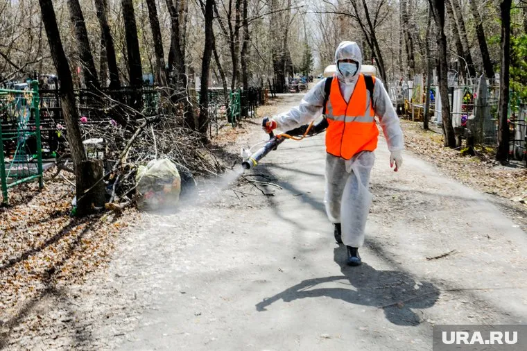 Обработку планируют провести там, где горожан могут укусить клещи