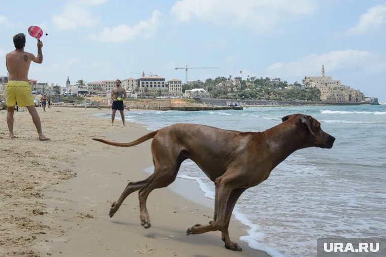 Треть россиян поедет на отечественные курорты