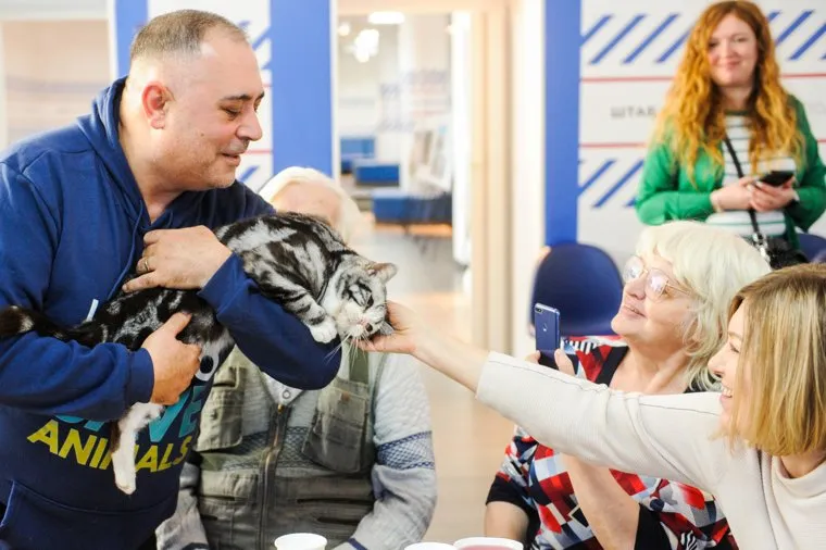 Карен Даллакян и кошки. Челябинск