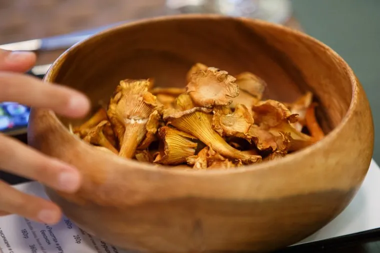 Презентация нового меню ресторана Monk - блюда с лисичками. Екатеринбург