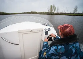 Фотография из галереи