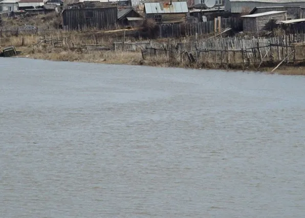 Фотография из галереи