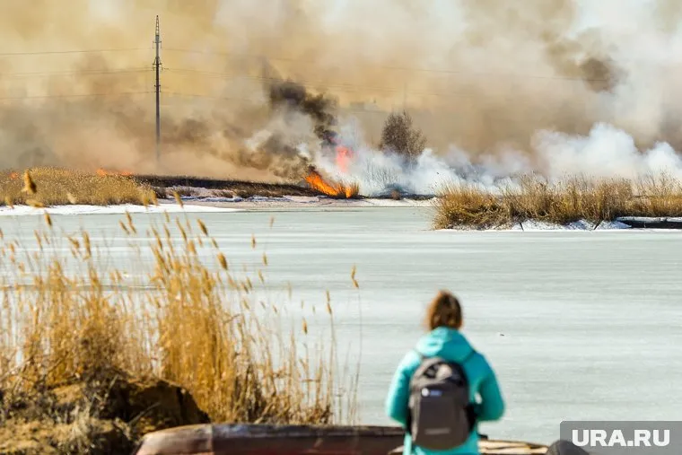 У тех, кто следит за лесом нет мотивации работать качественно, сказал Роман Пукалов
