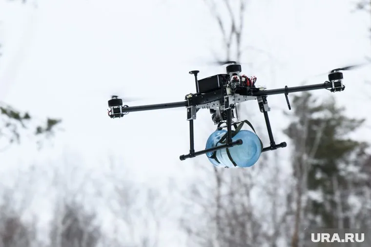 Ключевые правила поведения при обнаружении бесплиотников описаны в памятке