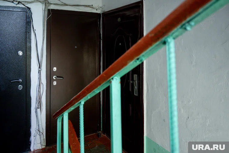 Финансовую модель бизнеса планируют составить до декабря 2025 года