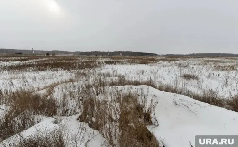 Загрязненные участки расположены в Сосновском районе