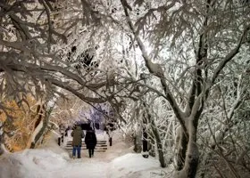 Фотография из галереи