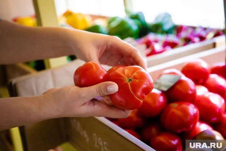 Овощи в мае стали дороже на 25,5%