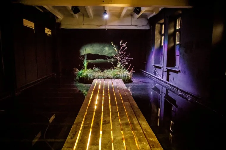 4-ая Уральская индустриальная биеннале современного искусства за два дня до открытия. Екатеринбург, современное искусство, болото, инсталляция