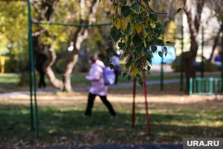 Школьницам удалось сбежать от насильника