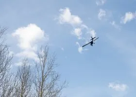 Фотография из галереи