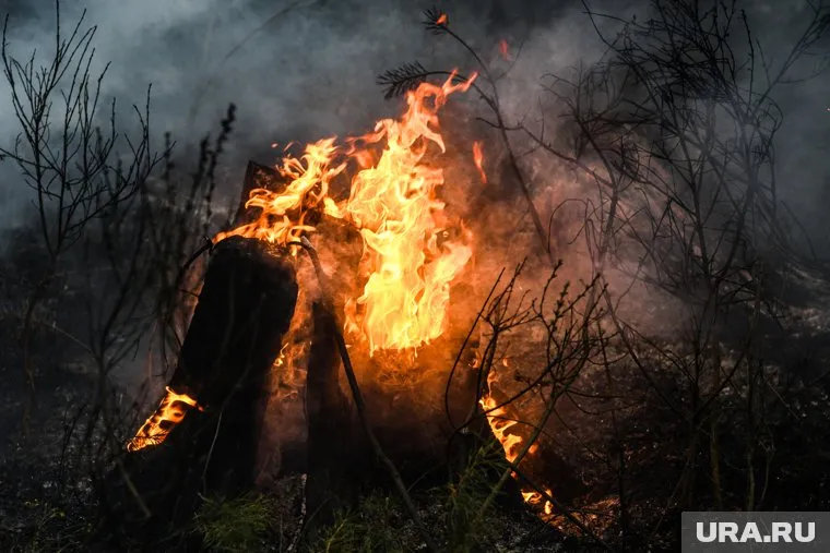 Предостережение будет действовать по 2 октября