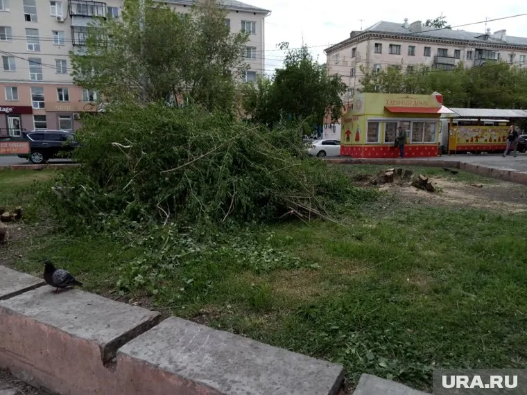 Неприглядная картина расстроила курганцев