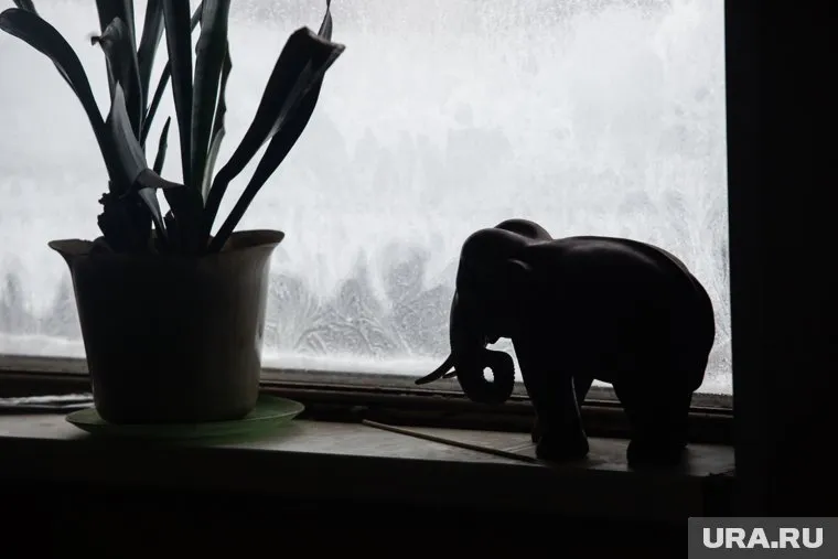 Буддийский монастырь Шедруб Линг. Качканар