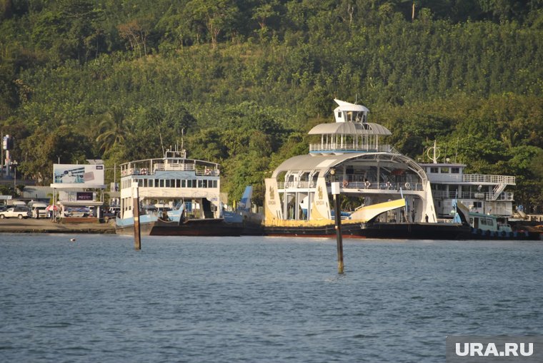 Уехали в Таиланд или укрылись в пещере: новые версии о пропаже семьи Усольцевых и заявление их сына