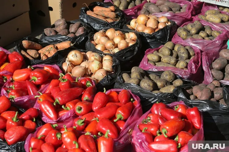 Предприятие выращивает овощи