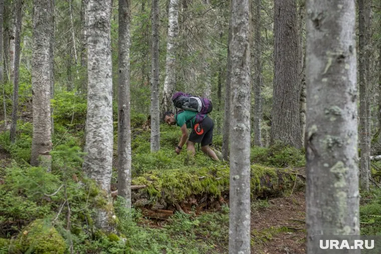 Фото редкого гриба появилось в мессенджере