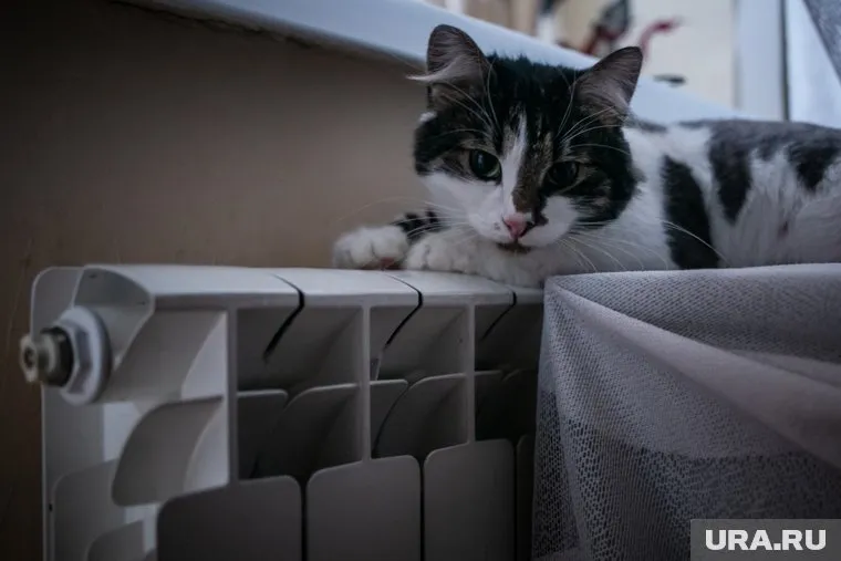 В Лянторе в детском сажу и жилых домах отключили отопление из-за коммунальной аварии