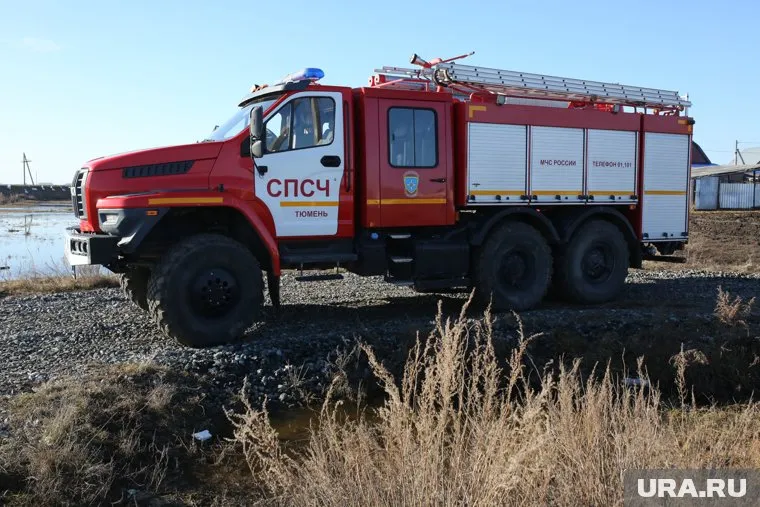 Запрет на посещение лесов в Тюменской области продлен до 15 мая