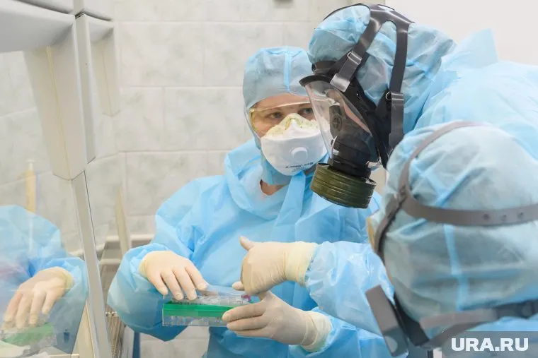 В Октябрьском районе ввели карантин из-за бешенства животных