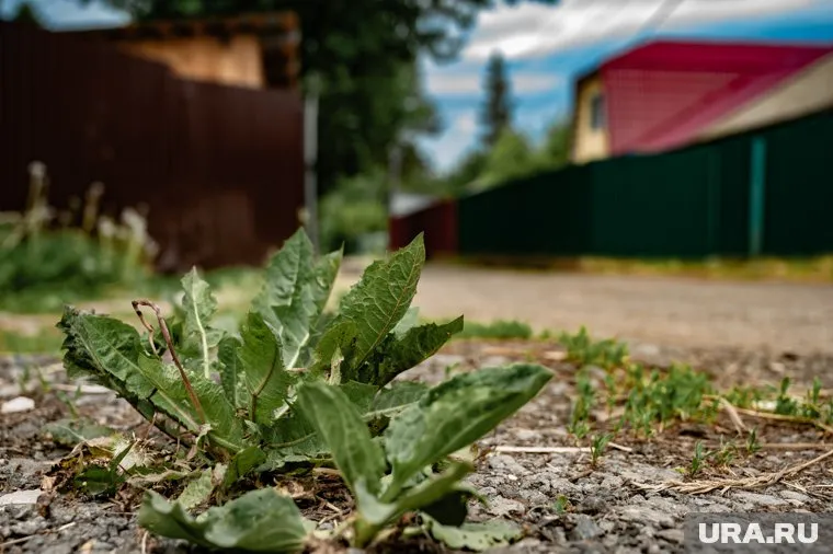 Многие препараты могут быть опасны для здоровья, если не соблюдать инструкцию