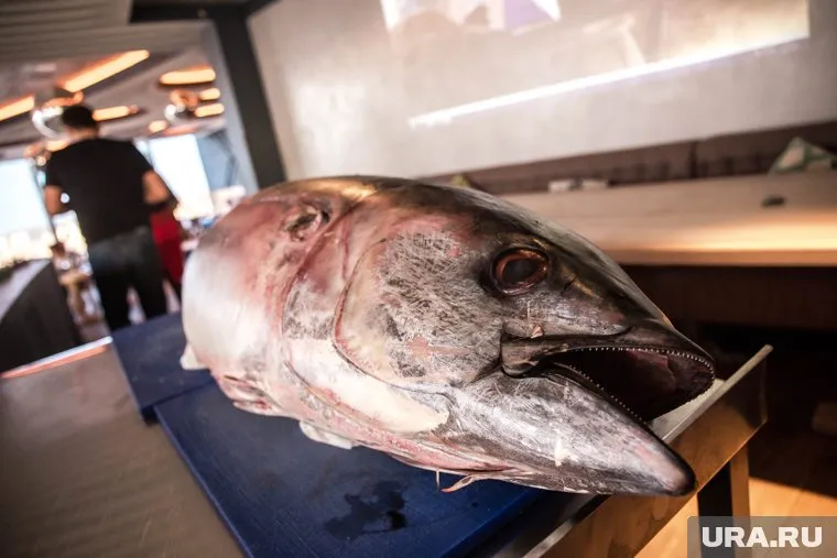 В тунце может содержаться ртуть и натрий в высокой концентрации